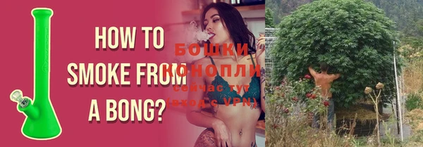 не бодяженный Арсеньев