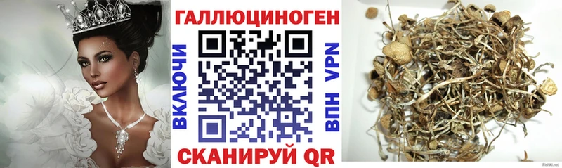 Псилоцибиновые грибы GOLDEN TEACHER  купить  цена  Няндома 